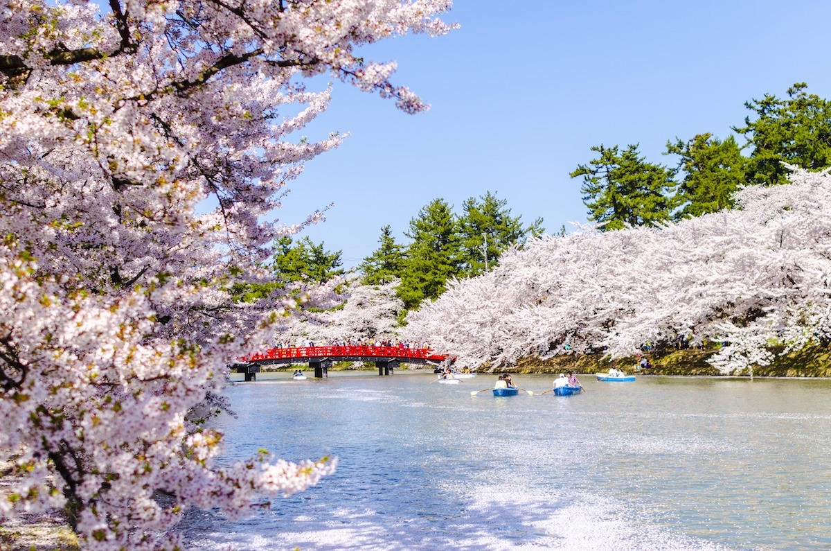 สวนฮิโรซากิในเมืองอาโอโมริ ประเทศญี่ปุ่น