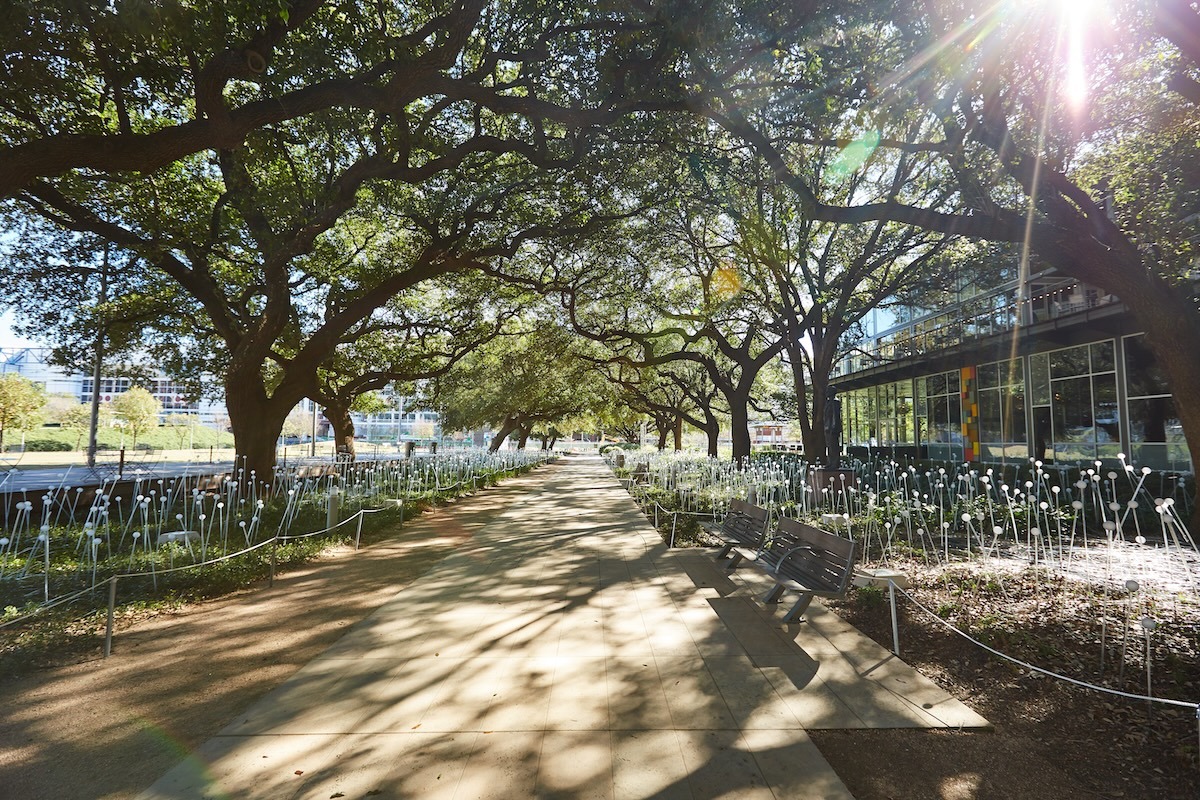 Houston Discovery Green Park in downtown Texas