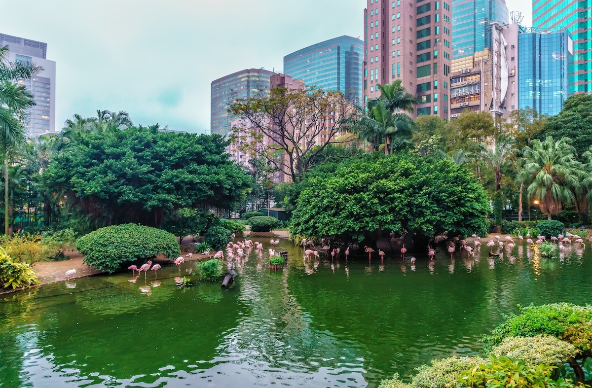สวนสาธารณะเกาลูน ฮ่องกง