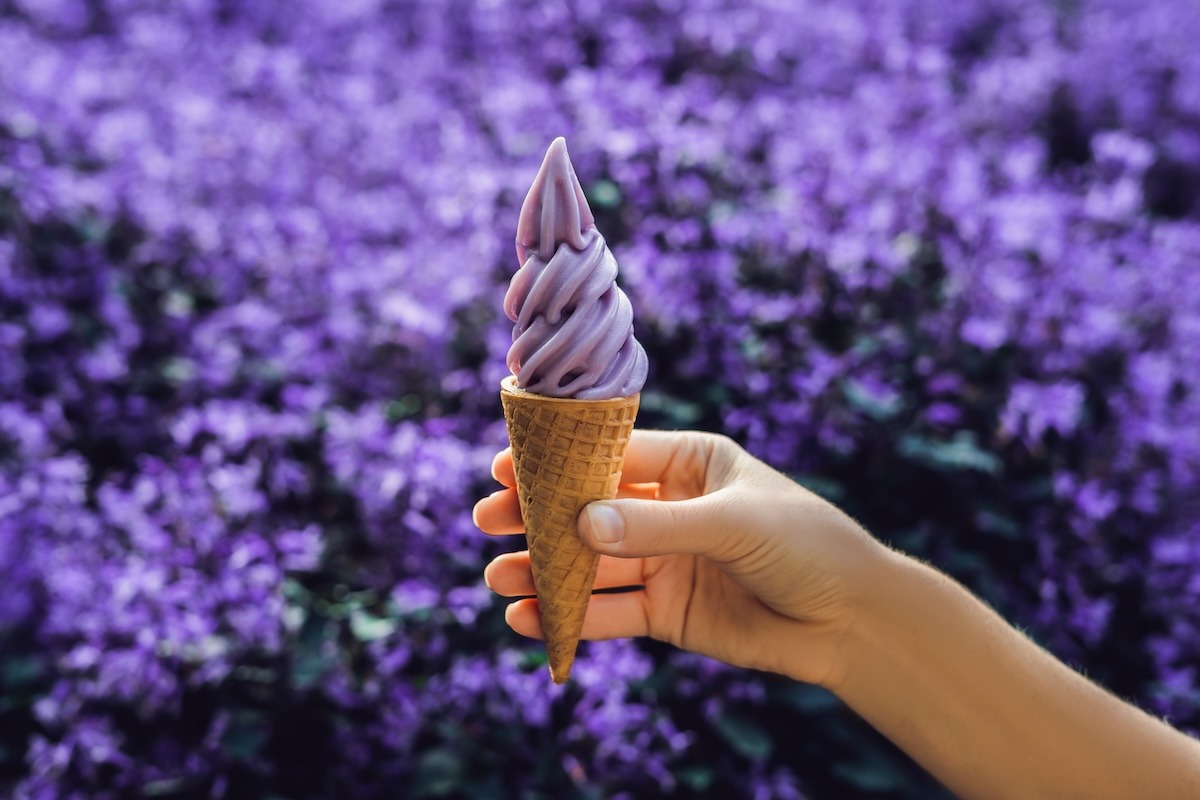 Lavender ice cream, Furano, Japan