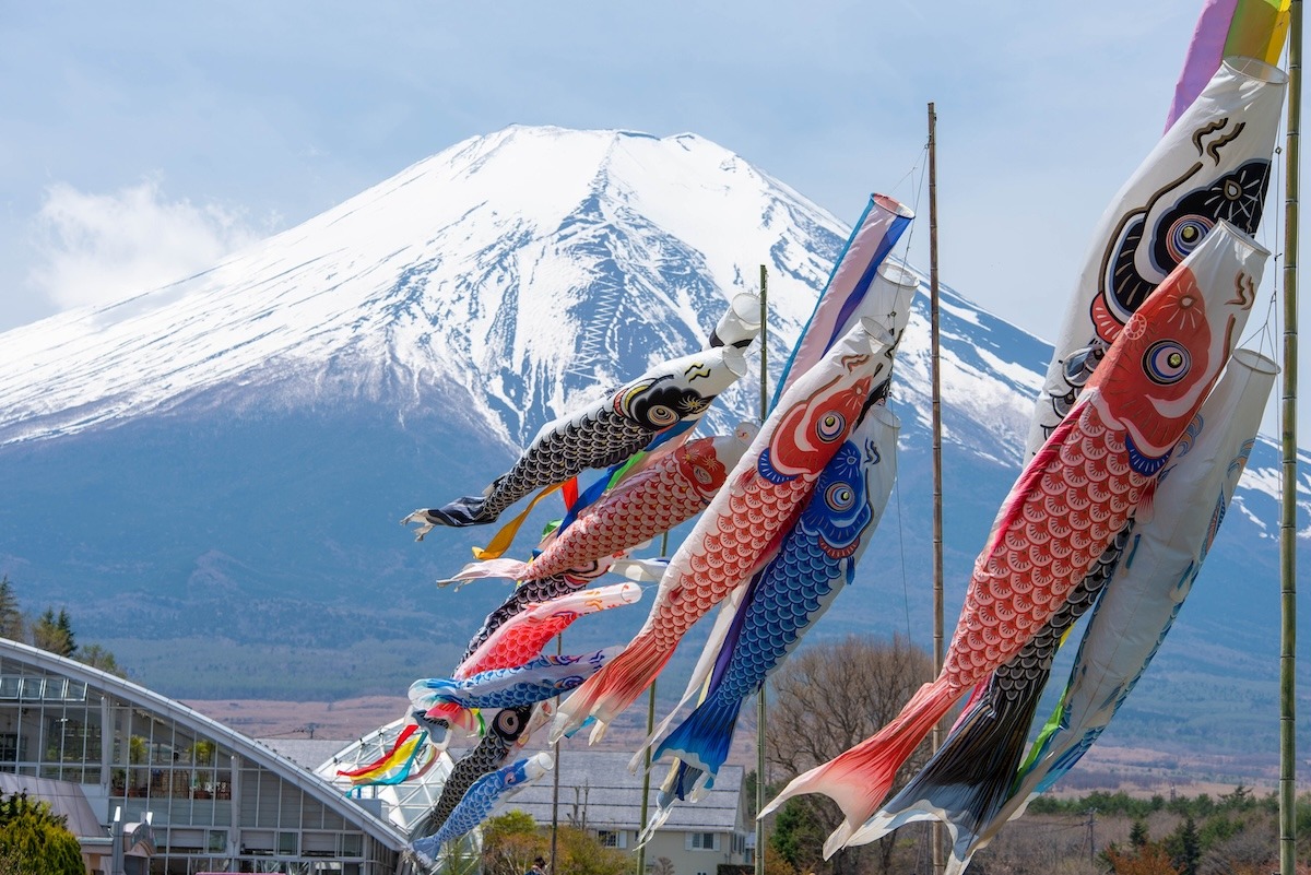 ภูเขาไฟฟูจิและลำแสงปลาคาร์พประเทศญี่ปุ่น