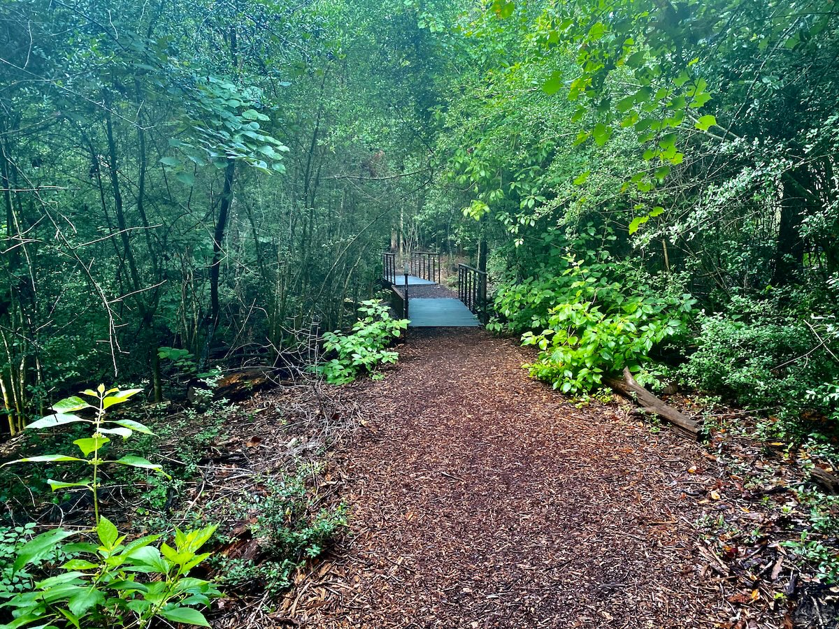 Ravine Trail, Houston Arboretum & Nature Center