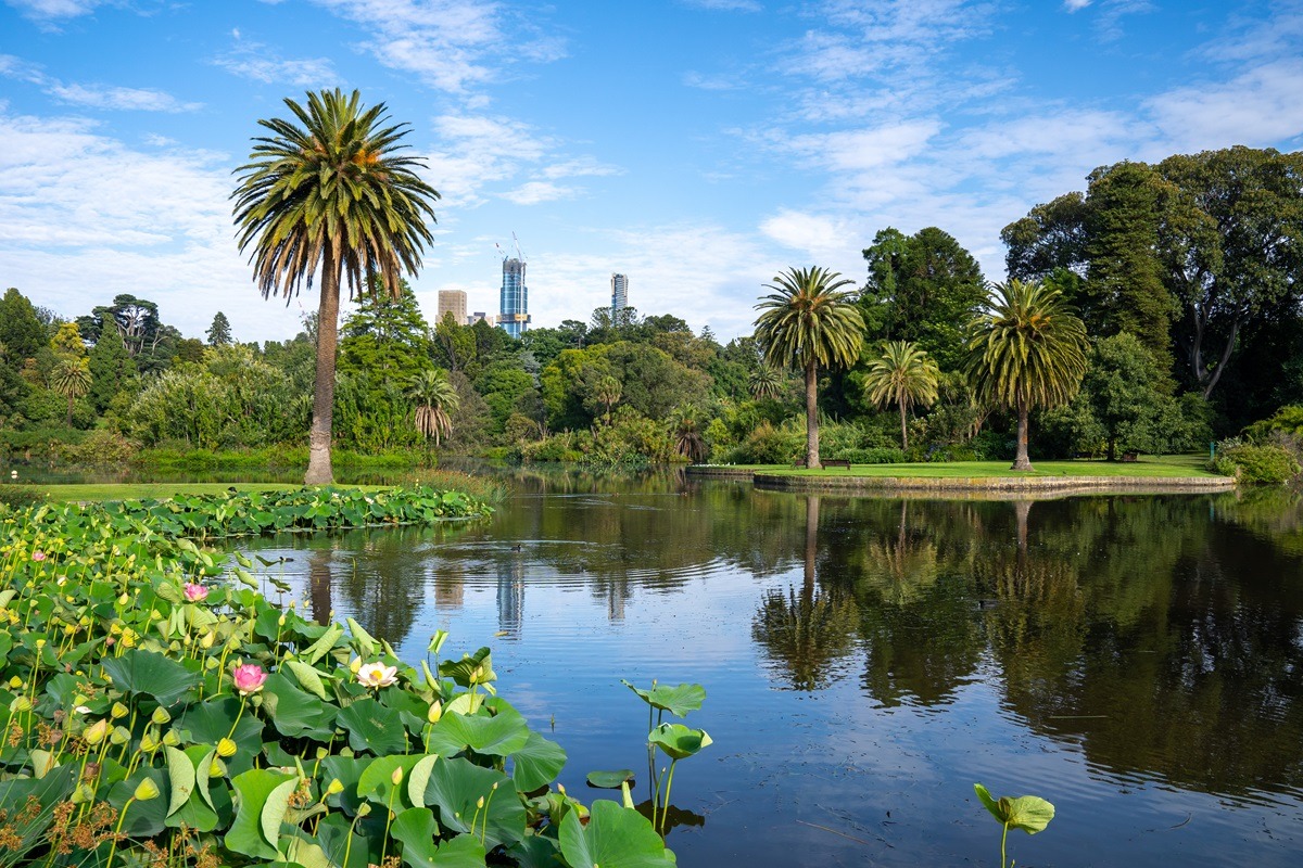 호주 멜버른의 빅토리아 왕립 식물원