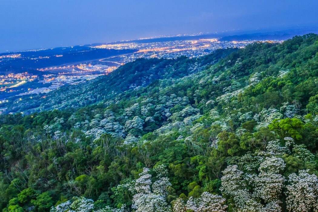 Scopri le attrazioni di Miaoli: Il tuo divertente itinerario del Festival delle Lanterne background image