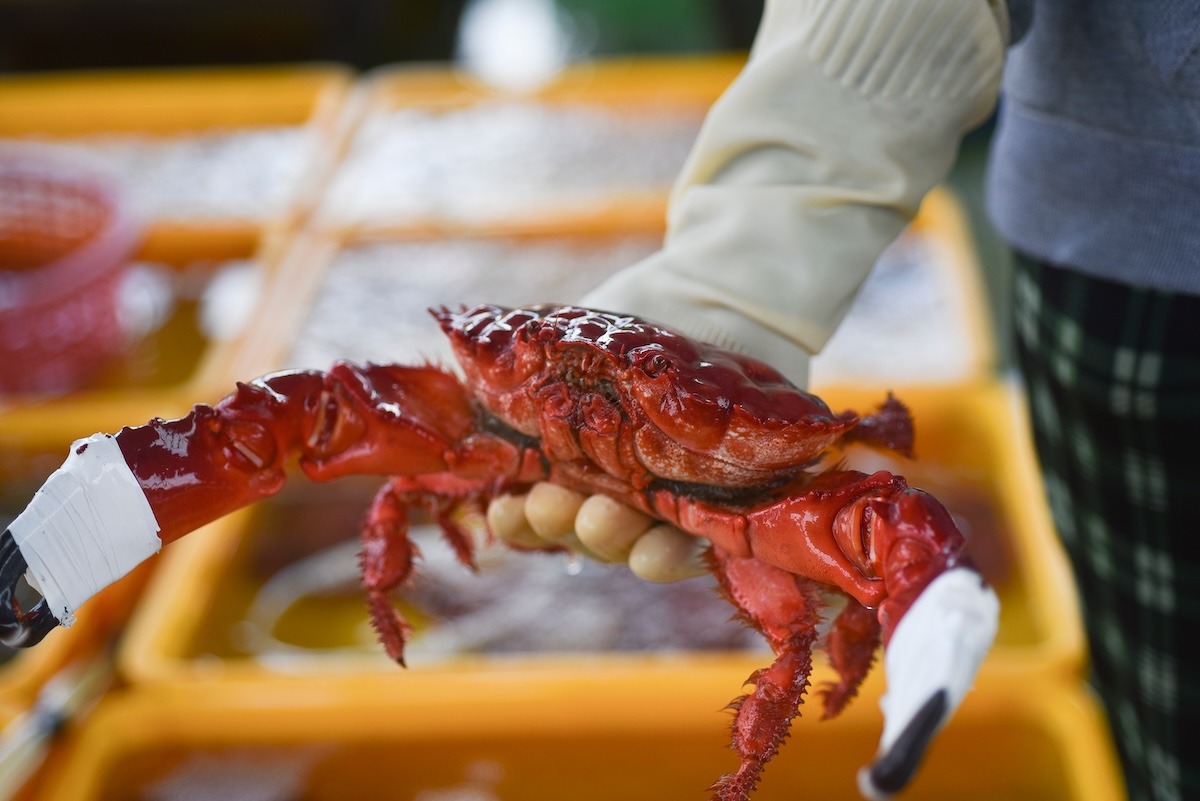 makanan laut di pasar Nha Trang