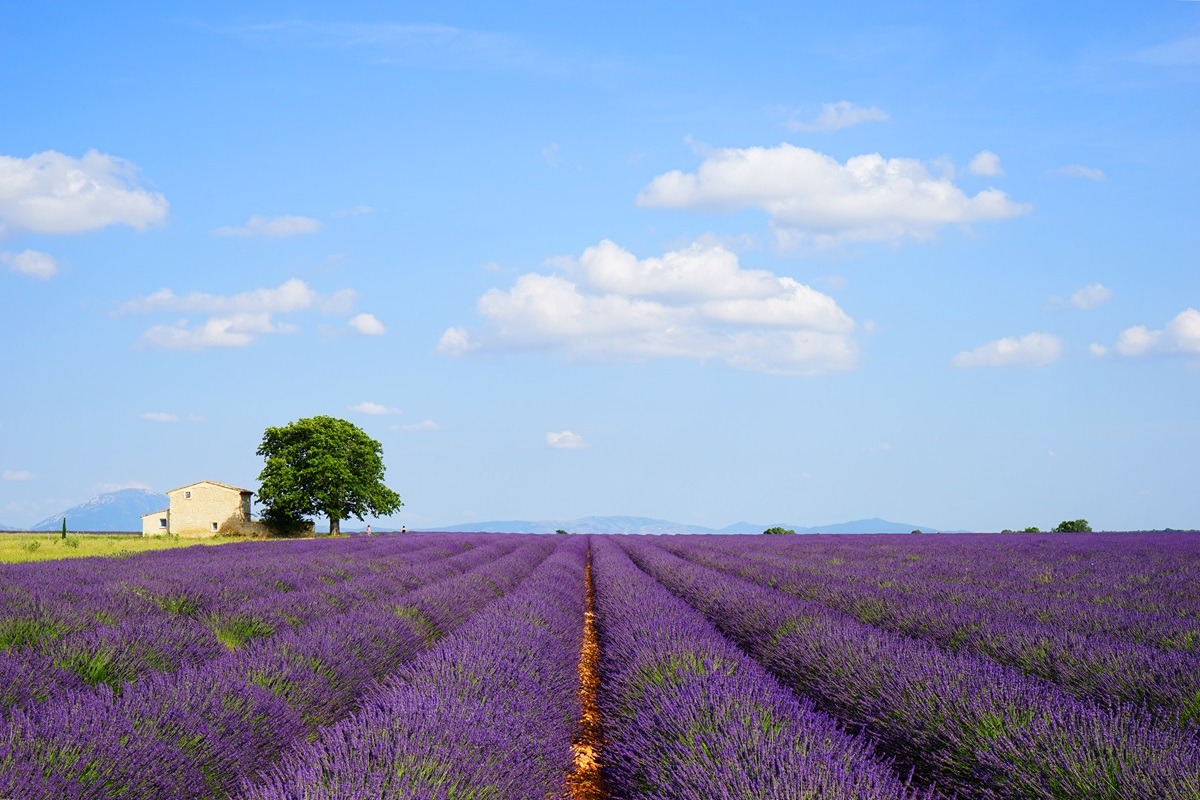 Provence, Pháp
