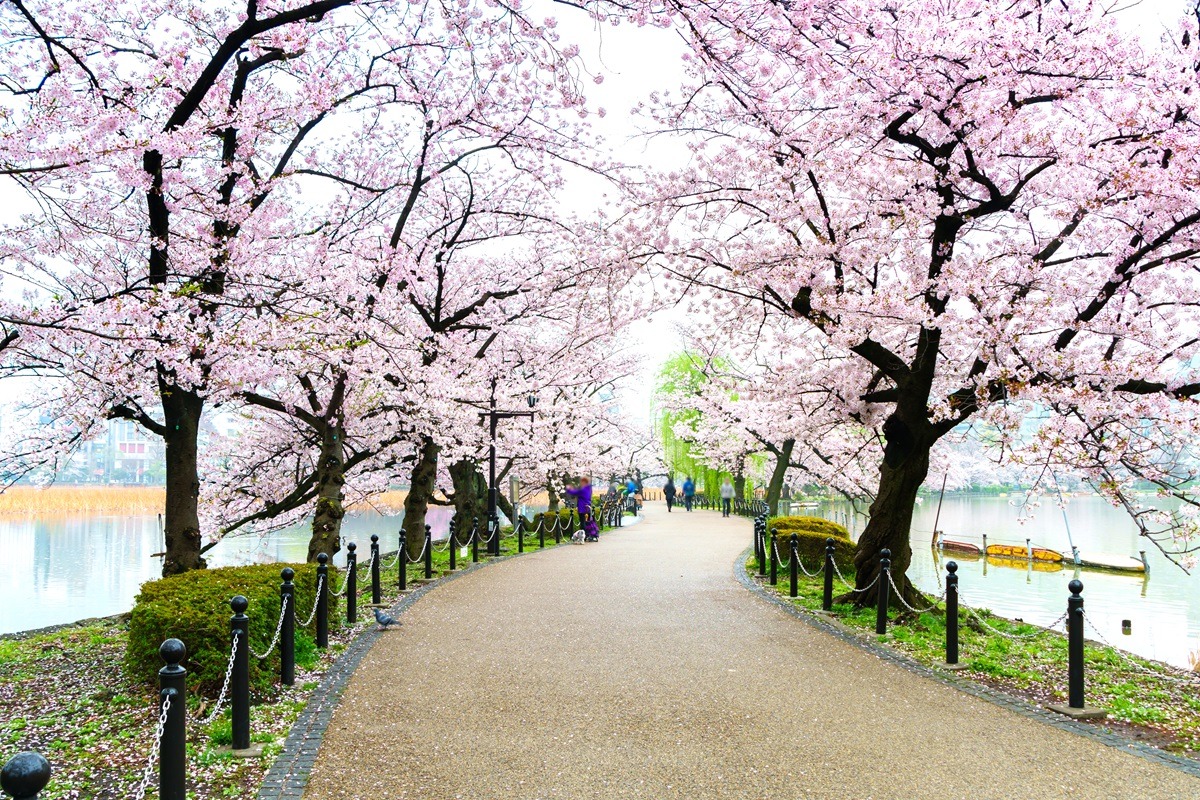 Taman Ueno di Tokyo