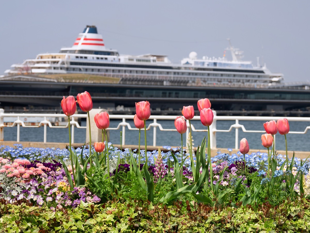 Yokohama, Jepang