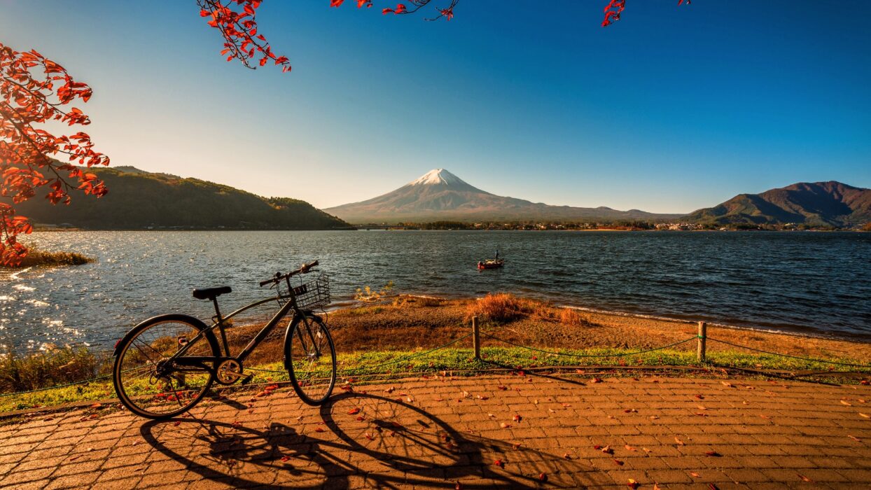 Ultimate Guide to Father’s Day 2024: A Japanese Odyssey background image