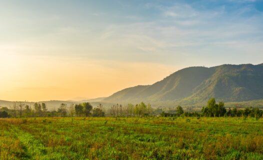 探索考艾:美麗且經濟實惠的住宿地方