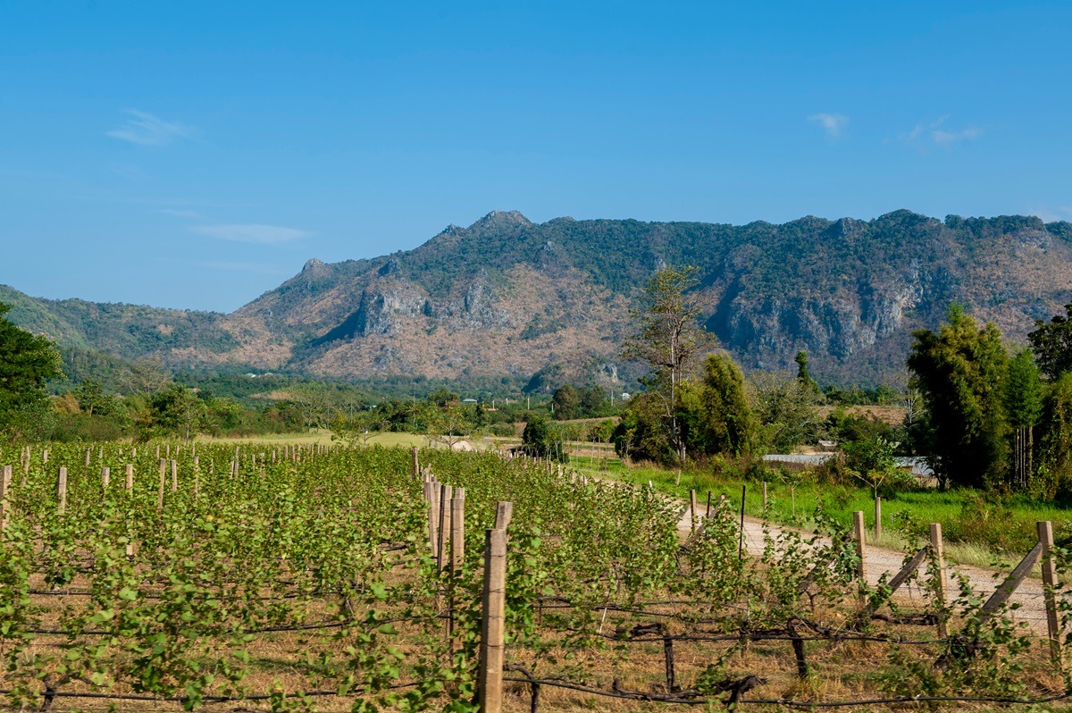 Kilang Wain PB Valley Khao Yai, Thailand