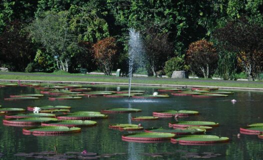 Wochenendausflug in Bogor: Botanische Gärten und Bergblicke erkunden