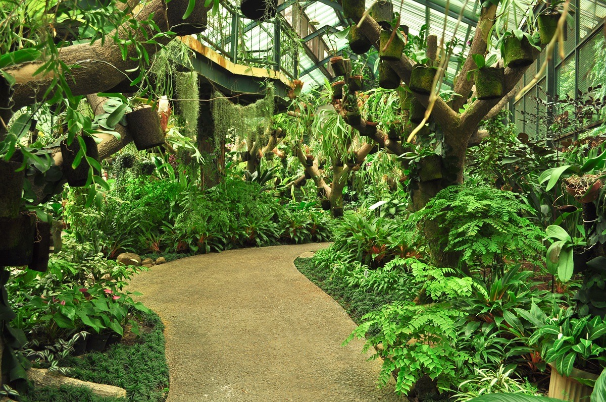 Bogor Botanical Gardens, Indonesia