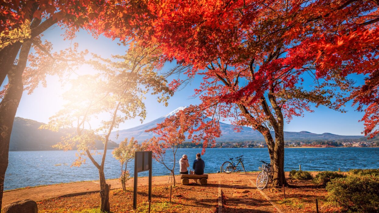 Discover Fujikawaguchiko: A Comprehensive Guide to Japan’s Scenic Retreat at the Base of Mount Fuji background image