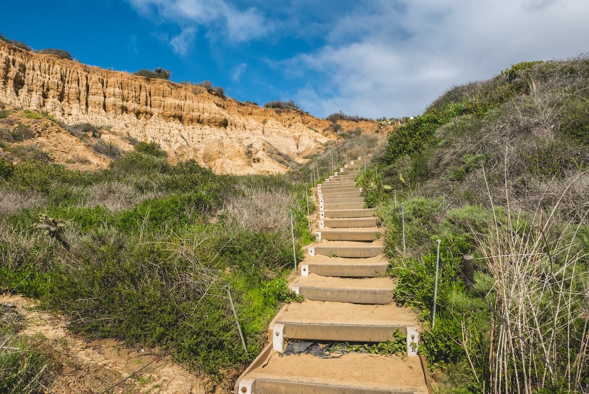 hiking trail at Torrey Pines State Reserve, San Diego