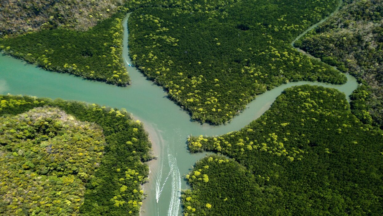 The Ultimate Guide to Langkawi’s Geopark: Day Adventures background image