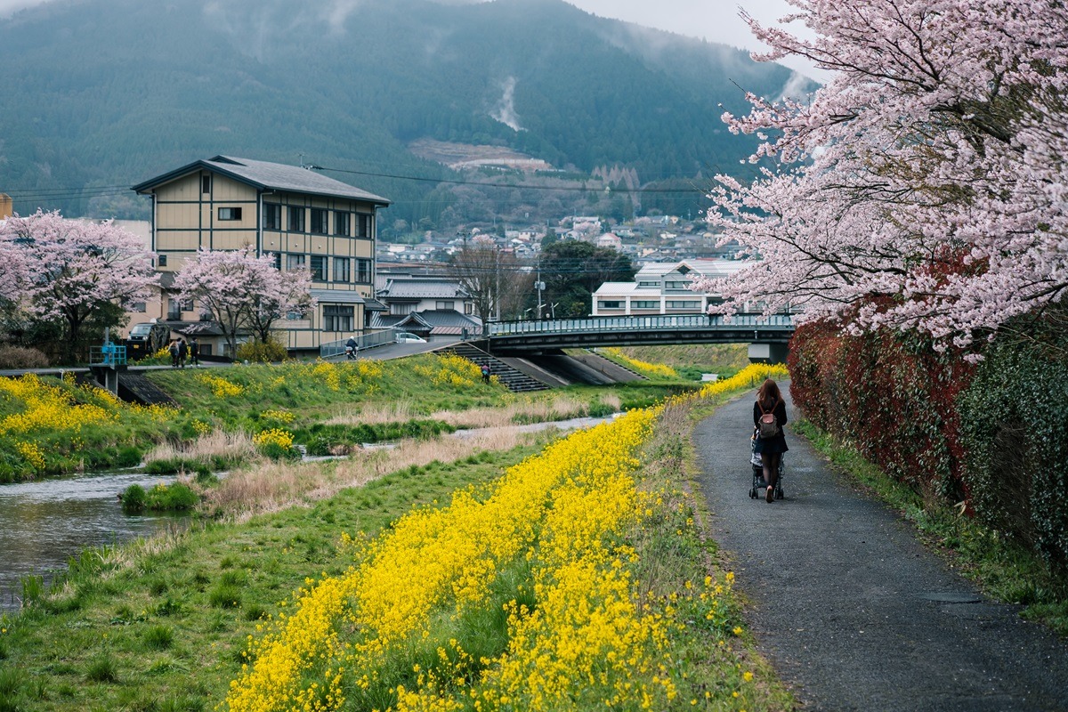 由布, 日本