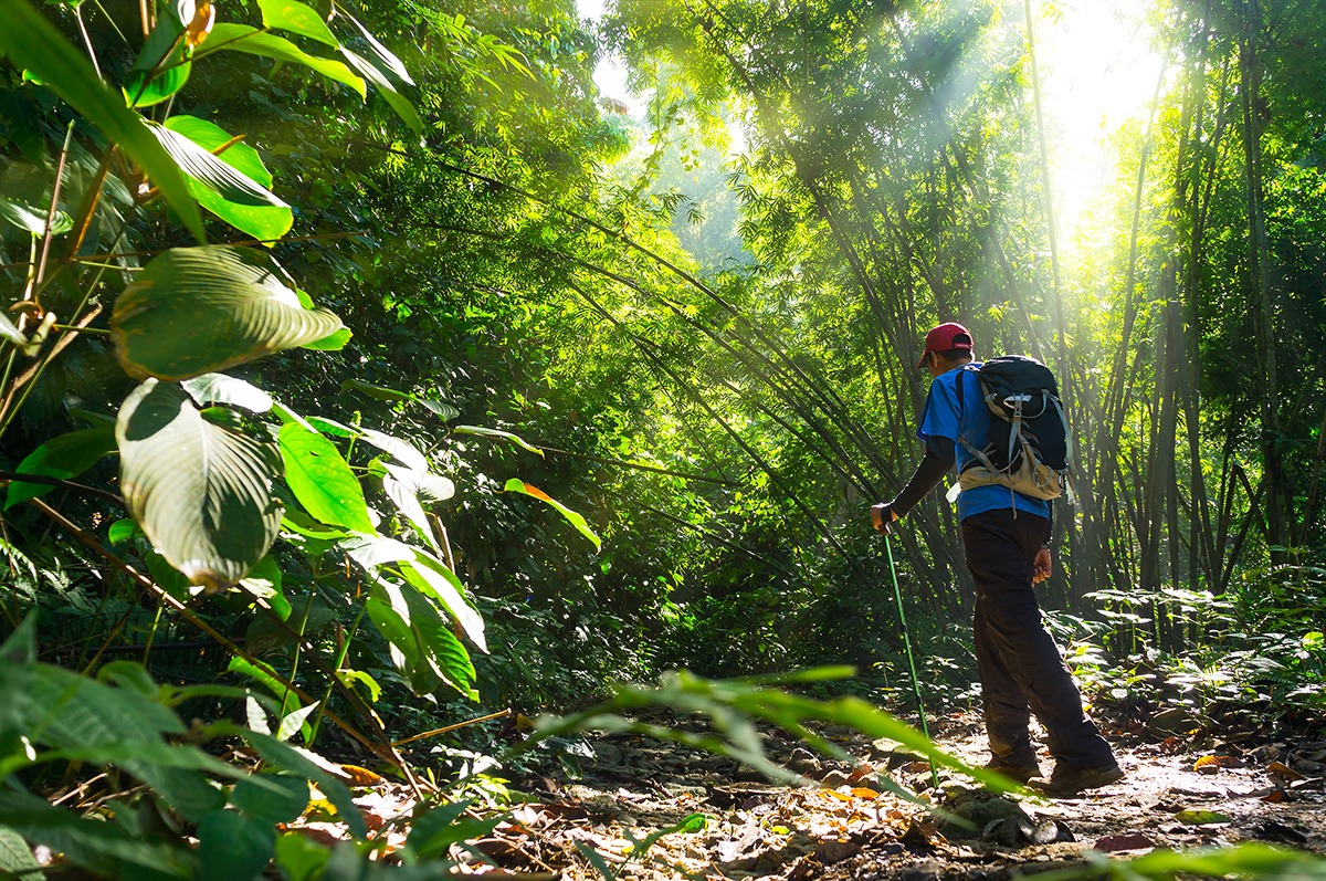 Tambdi Surla Trek Tambdi Surla Trek