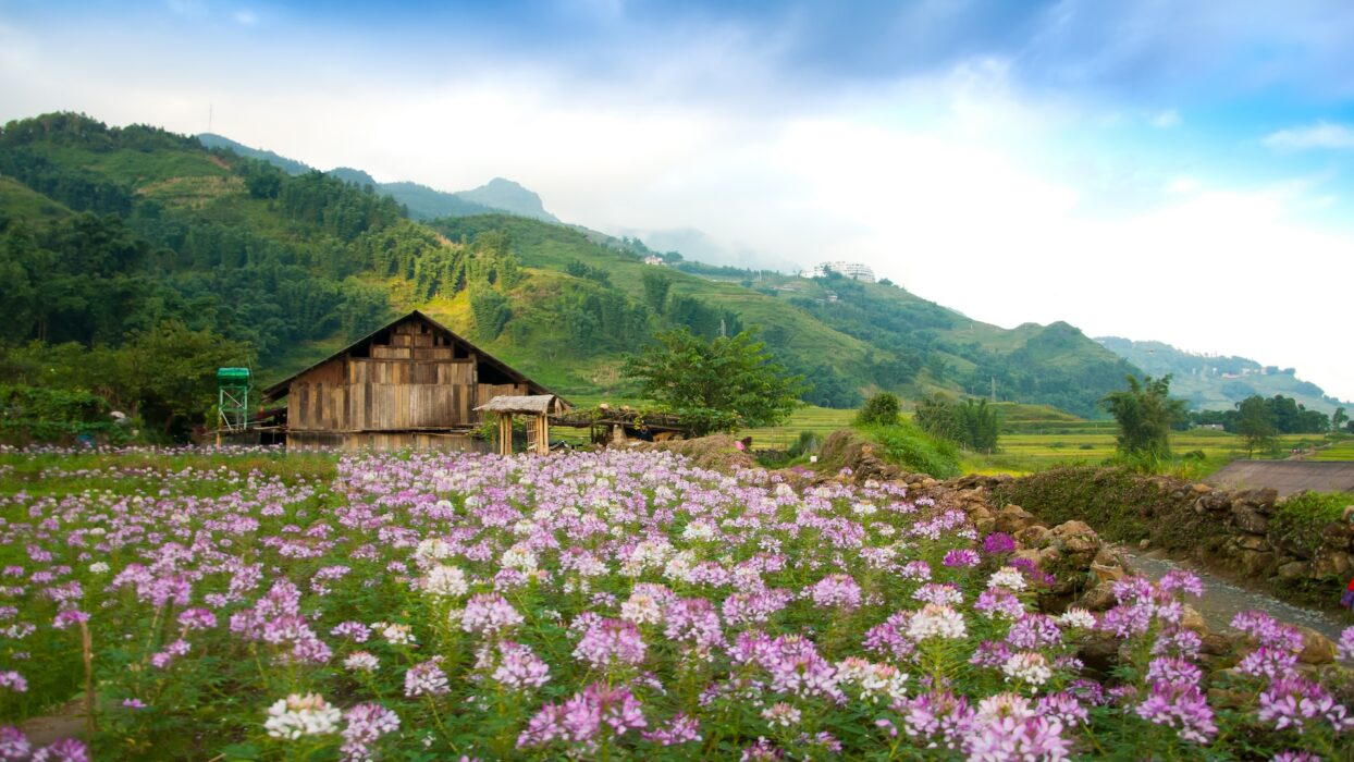 3 Tage in Sapa Reiseroute: Das Beste von Nordvietnam erkunden background image