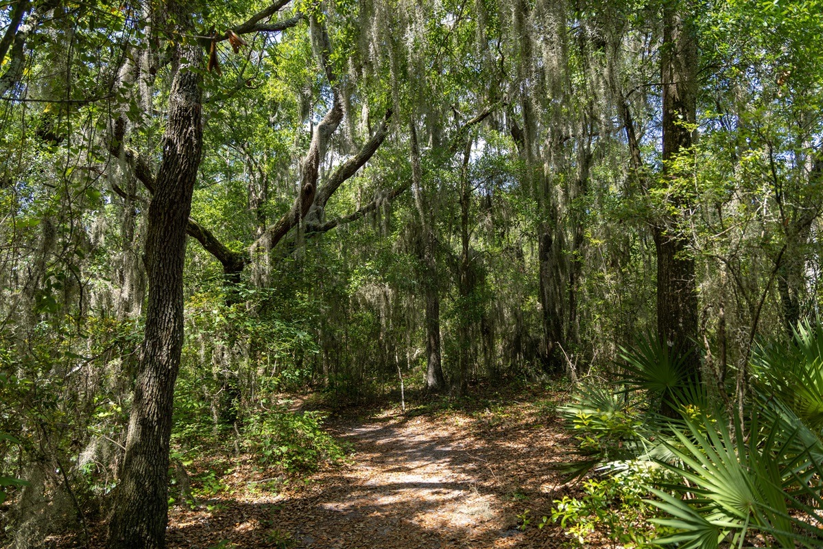 The Jacksonville Arboretum and Botanical Gardens, USA