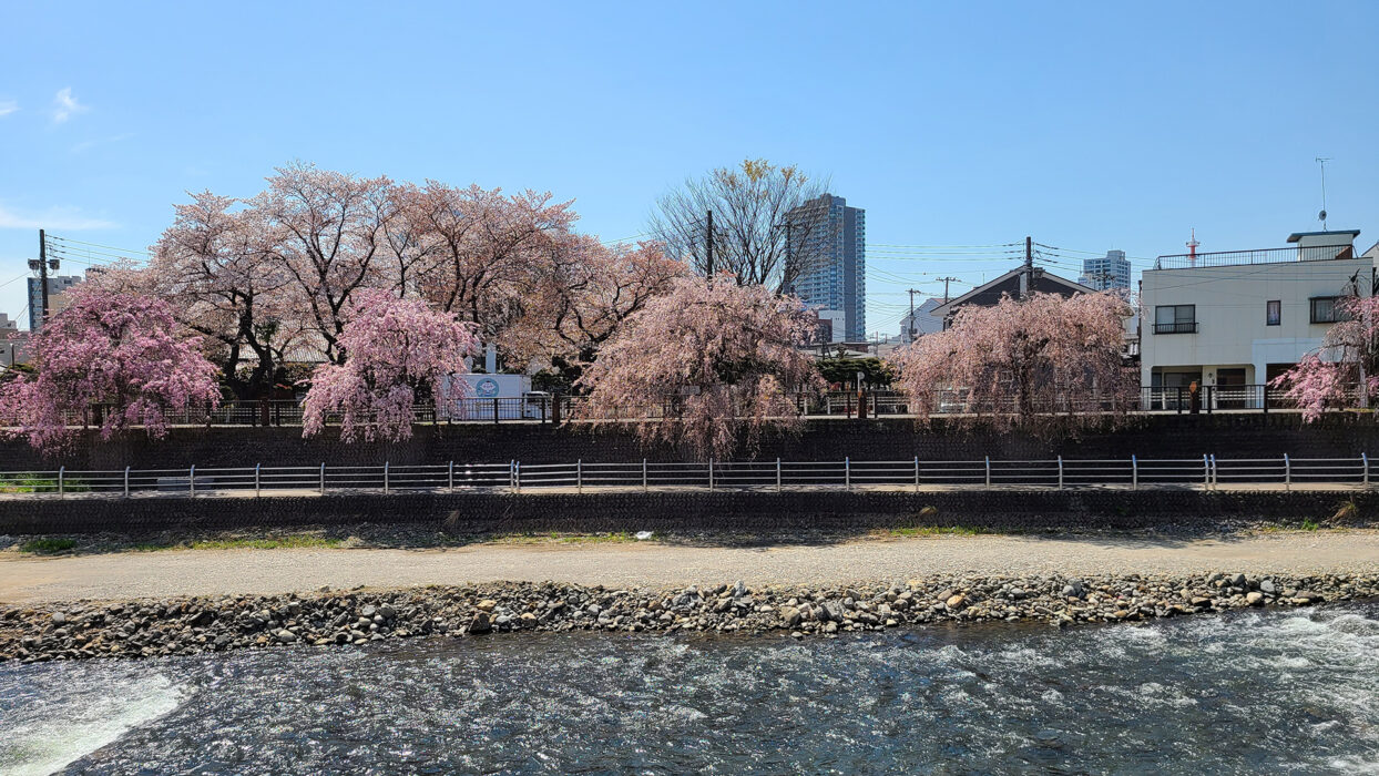 宇都宮市最佳景點玩樂：終極旅行指南 background image