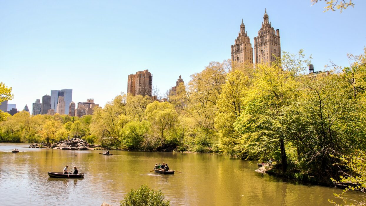 Top 10 Luxury Hotels in New York City for an Unforgettable Stay