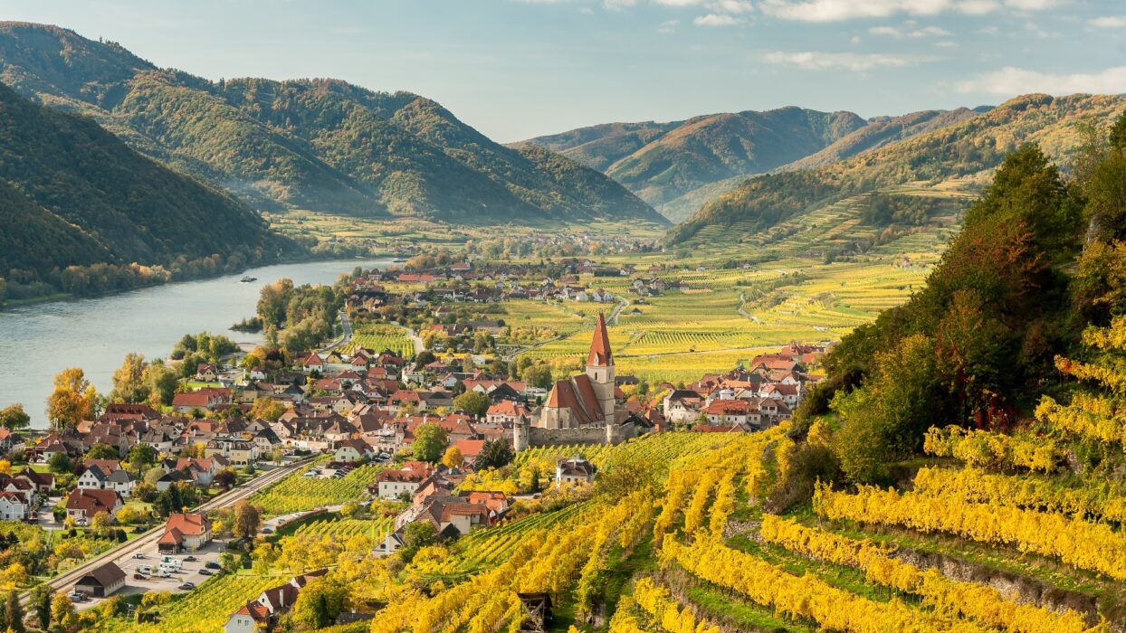 Khám phá thung lũng Wachau: Rượu vang, Du thuyền và Lâu đài » Agoda: See  The World For Less