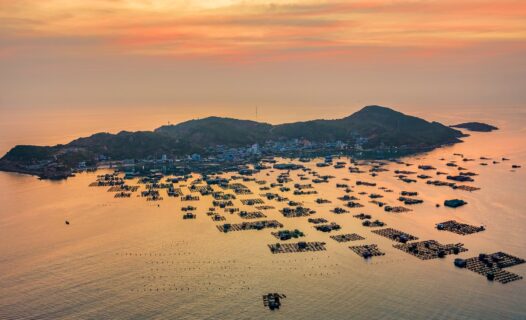 揭開隱藏的寶石:越南平雄島的終極旅遊指南