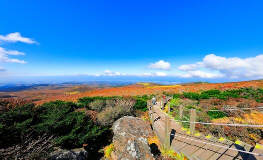 探索濟州島:韓國火山天堂終極旅遊指南
