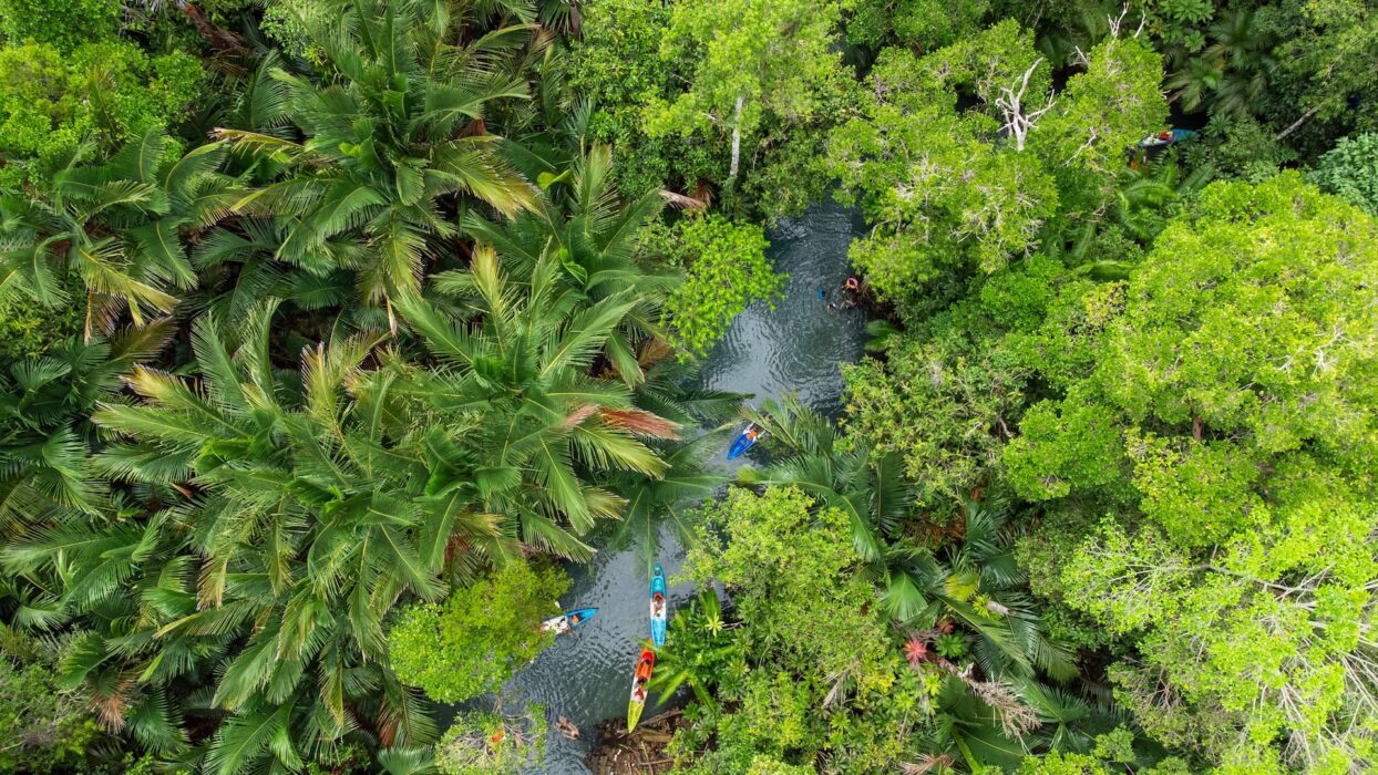 Discover the Serenity of Clear Water Canal Krabi: A Hidden Gem in Thailand’s Krabi Province background image