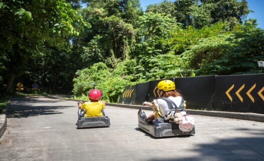 Thrill Seekers' Paradise: Ultimate Guide to Skyline Luge in Malaysia – Adventures Await!