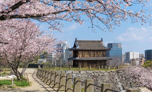 Discover Ohori Park: A Tranquil Oasis in the Heart of Fukuoka