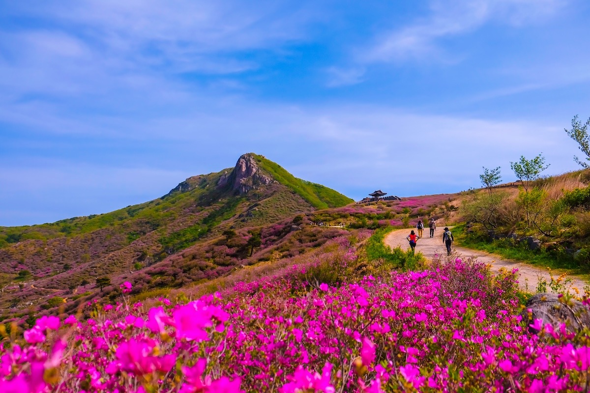 黄梅山 黄梅山