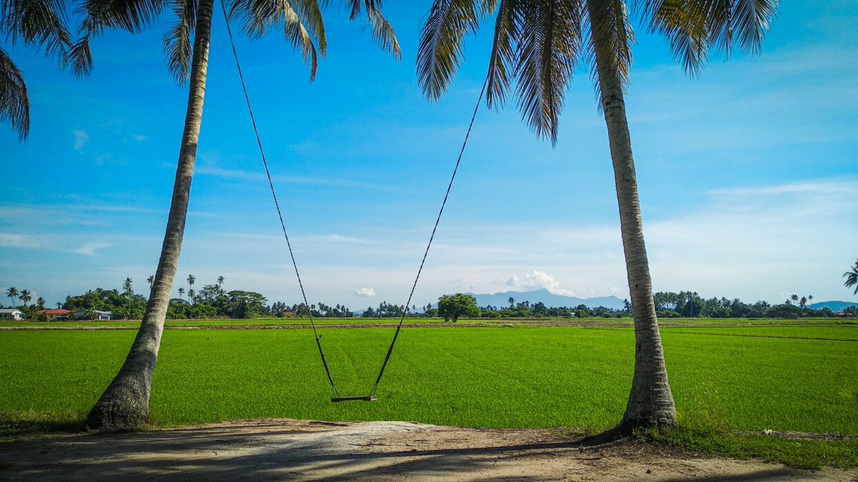Exploring Kampung Agong: Penang’s Hidden Gem of Rustic Charm and Cultural Heritage background image