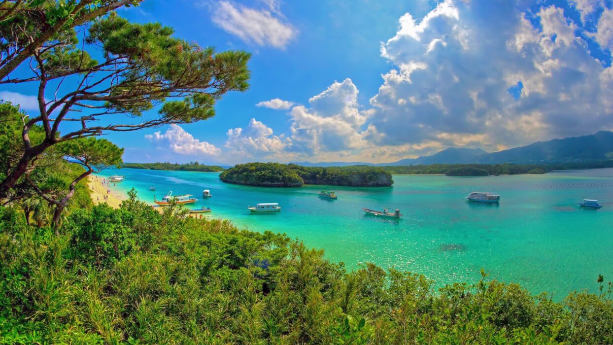 การค้นพบโอกินาว่า: ประสบการณ์แพ็คเกจทัวร์เกาะหลักที่น่าประทับใจ background image