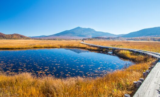 Exploring the Unspoiled Beauty: Your Ultimate Travel Guide to Oze National Park