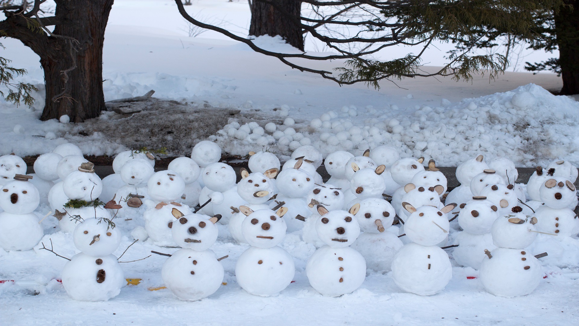 Unveiling Winter Magic: A Complete Guide to the Sapporo Snow Festival 