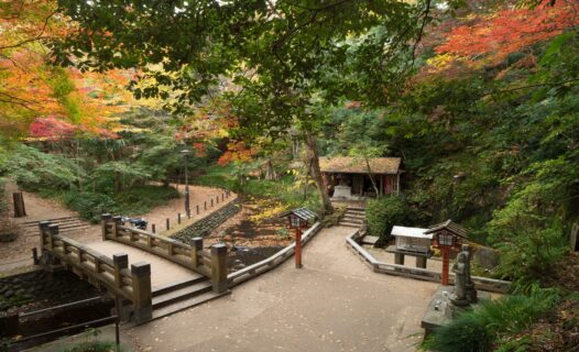 Exploring the Hidden Oasis of Tokyo: A Complete Travel Guide to Todoroki Valley