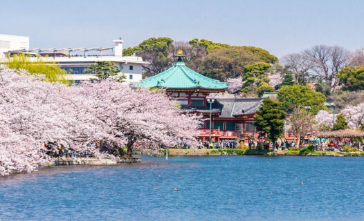 3 Days in Ueno Itinerary: Exploring Culture, History, and Modern Delights of Ueno