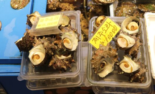 探索濟州島:濟州島獨特風味的美食之旅