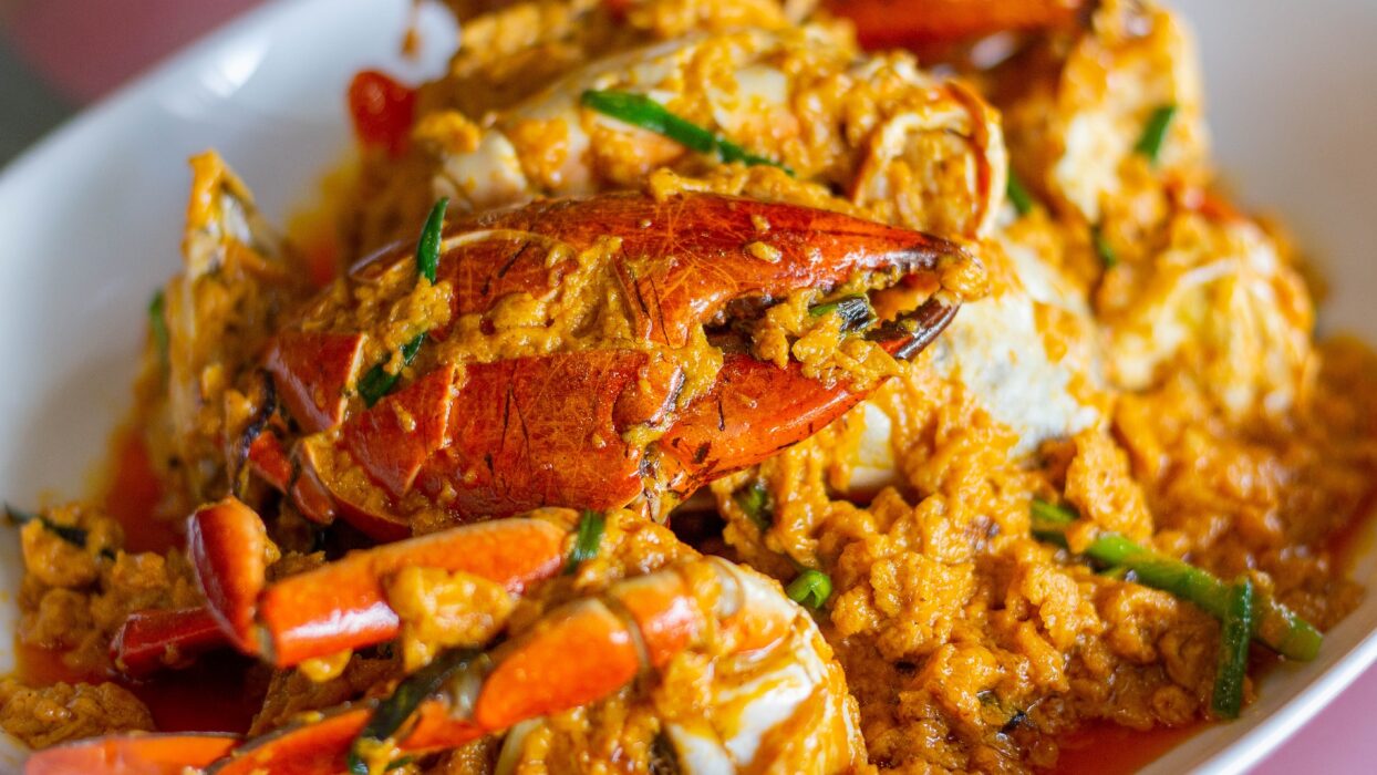 햇야이 음미하기: 태국 남부 최고의 맛집을 소개하는 요리 가이드 background image