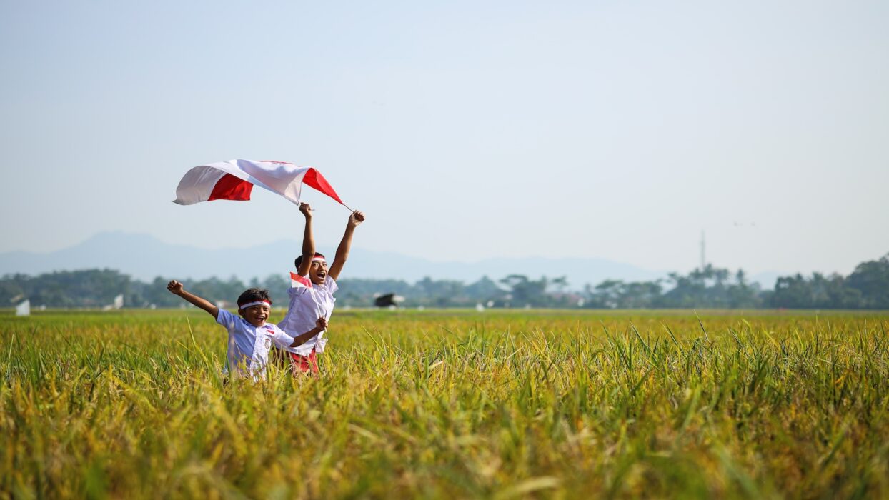 Celebrate Indonesia Independence Day in Bali: A Unique Hari Kemerdekaan RI Experience background image