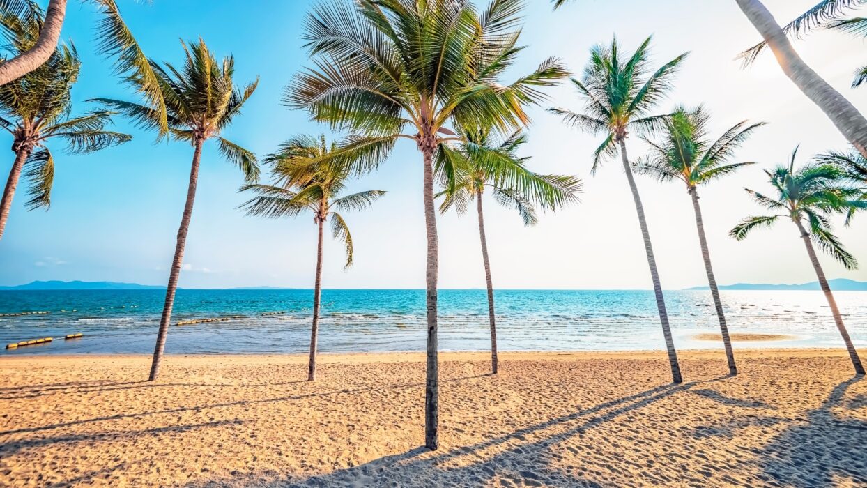 เที่ยวหาดจอมเทียน background image