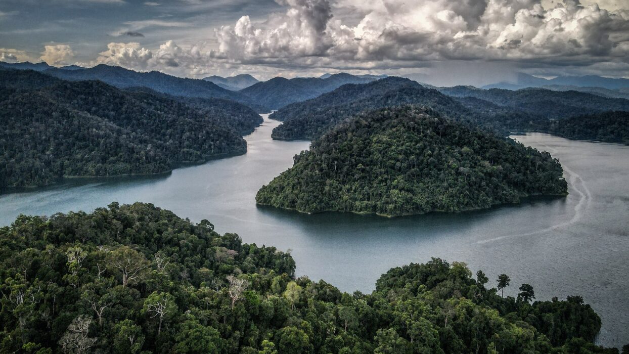Explorer les merveilles majestueuses du Royal Belum State Park : Votre guide de voyage idéal pour découvrir la nature intacte de la Malaisie background image