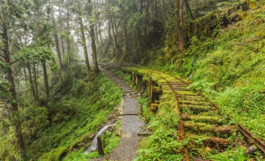 探索太平山：宜蘭寧靜逃生綜合旅遊指南