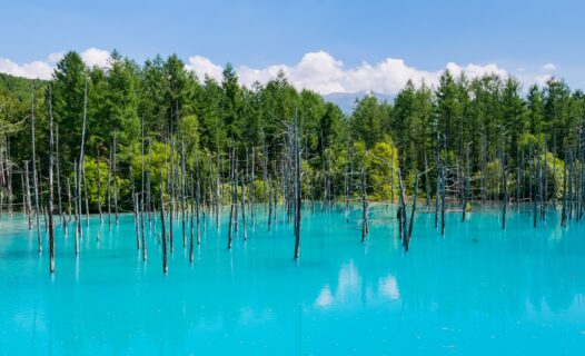 Entdecken Sie die ruhige Glückseligkeit: Die besten heißen Quellen in Asahikawa