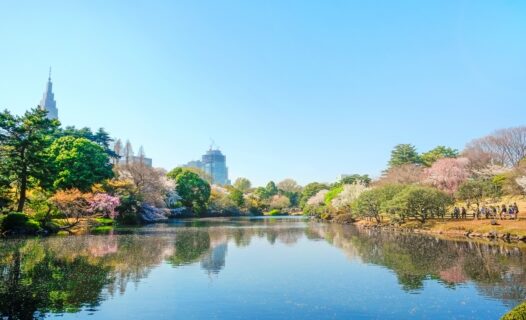 探索新宿御苑：東京市中心的寧靜綠洲