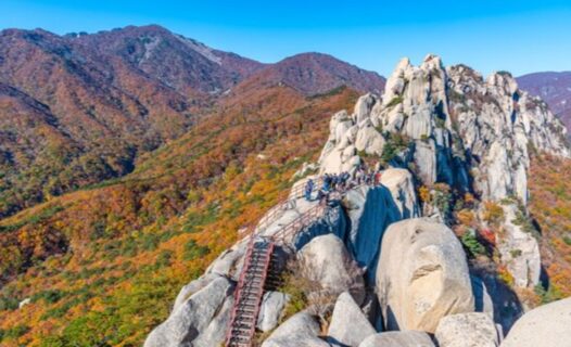 探索西拉克山國家公園的魔力：韓國壯觀荒野的終極旅行指南