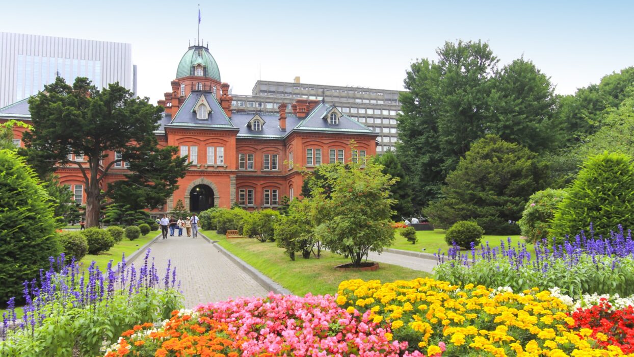 札幌揭幕:穿越北海道中心的迷人一日遊冒險 background image