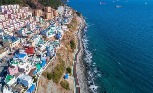從海灘到寺廟：釜山最佳景點活動